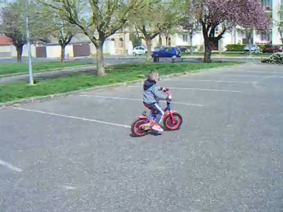 Petit poussin piou grandit