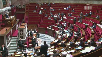 Cochet (UMP) : "Vous êtes en train d'assassiner des enfants"