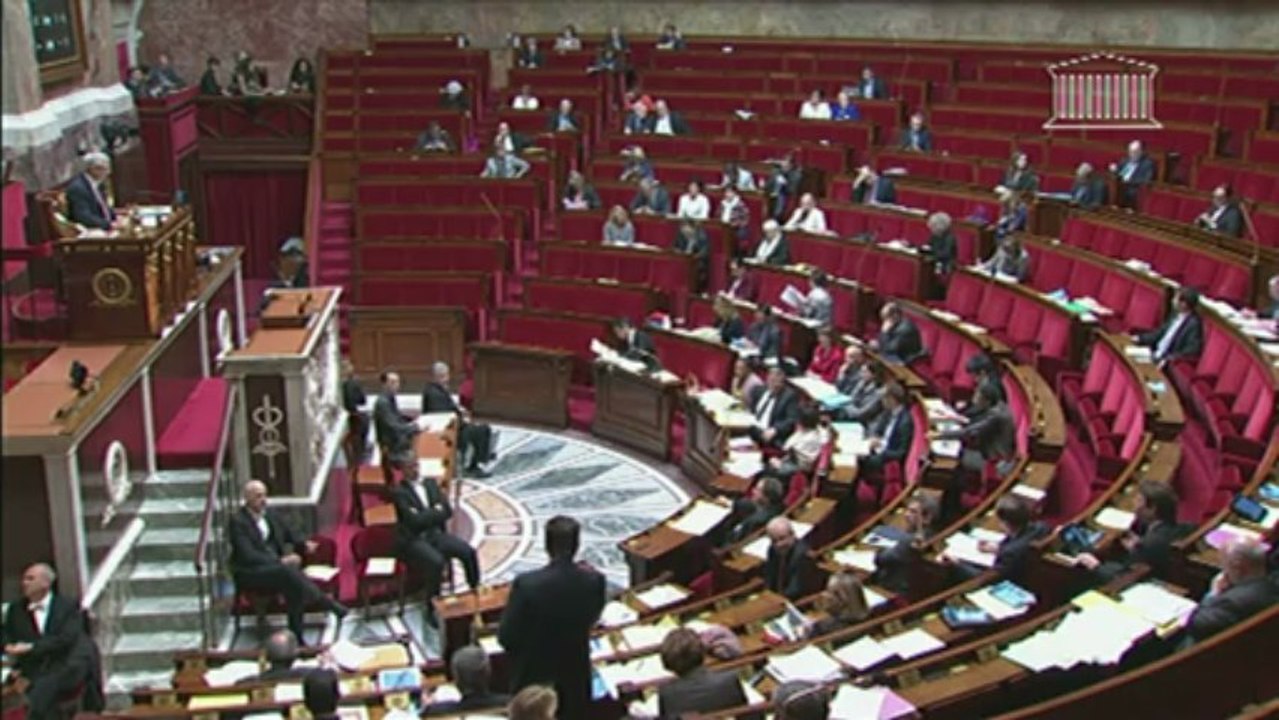 Cochet (UMP) : "Vous êtes en train d'assassiner des enfants"