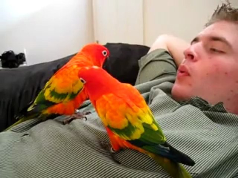 태양성카지노♣♧ BABY969.COM ♧♣태양성카지노