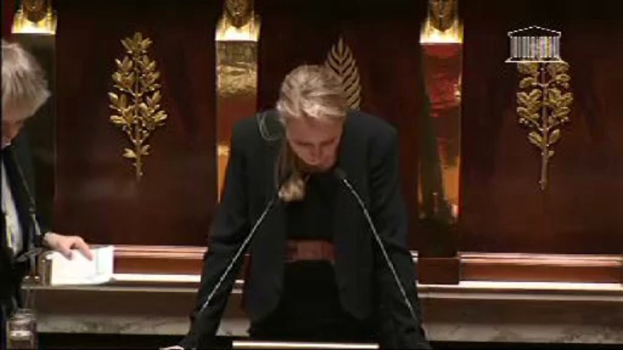 Mariage pour tous - Marion Maréchal-Le Pen