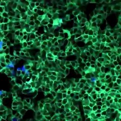 No such thing as empty space