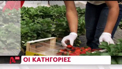 Βίντεο ντοκουμέντο  μετα τους πυροβολισμούς στη Μανωλάδα