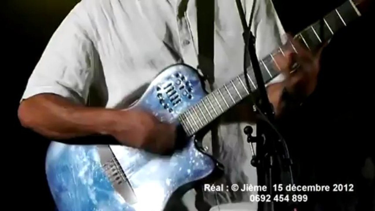 Fler Maler - Frédéric JORON