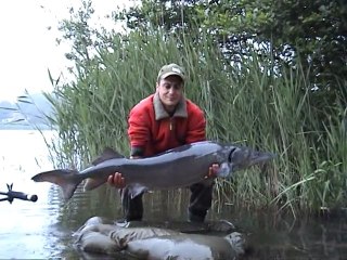 Pêche à la carpe et esturgeon à l'étang de la lande