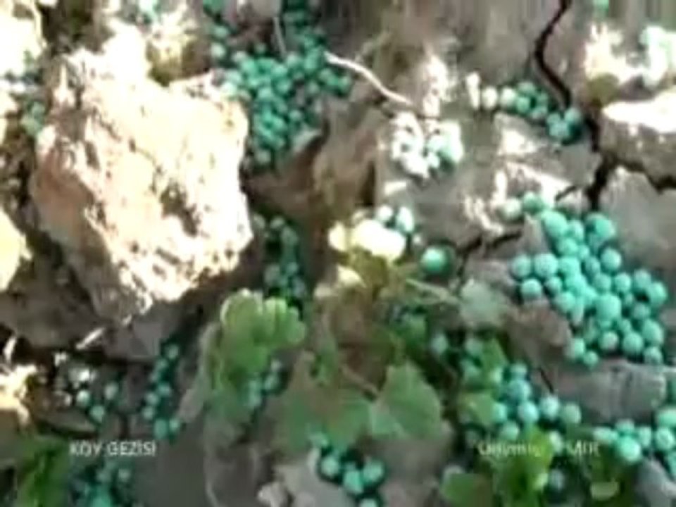 111 ödemiş Bayındır Tarım Makinaları Gübre