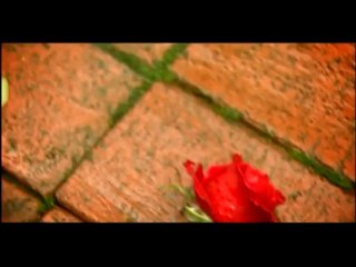 {{ TANER EYÜBOĞLU - ORALI DEĞİL }}