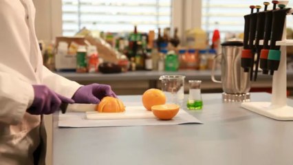 Food Safety Testing