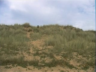 LE NEZ DE CLÉOPÂTRE...