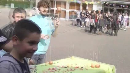 lipdub_BACPRO Lycée Notre-Dame Sauveterre 2013