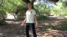 8 Brocades of Qigong