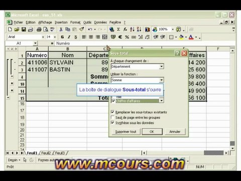 Tutoriel EXCEL 2003: Cours N°38 Créer des sous-totaux