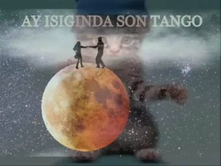 türkçe taverna müzik -_0001