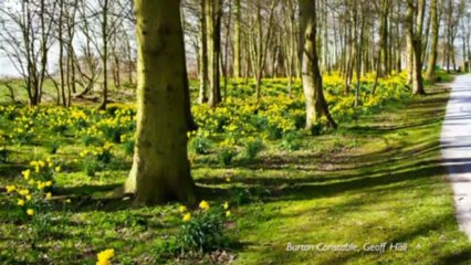 BBC Look North - Yorkshire & Lincolnshire - 17/4/13