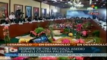 Países latinoamericanos acuerdan solidaridad con Palestina