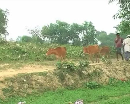 মাত্র পাঁচ কিলোমিটার দীর্ঘ সড়কের অভাবে পিছিয়ে রয়েছে বানিয়াচং উপজেলার পুকড়া ইউনিয়নের ১০টি গ্রামের উন্নয়ন।