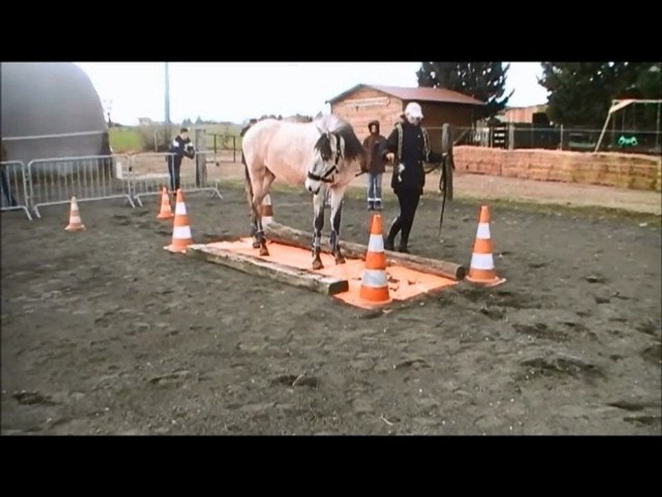 Morgane Equifeel 17/03/13