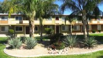 Camelback Courtyard Apartments in Phoenix, AZ - ForRent.com