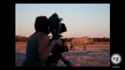 A Surprise Discovery Among Groups of Rhinos