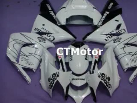 CTMotor 2004-2005 KAWASAKI ZX10R ZX-10R 10R FAIRING 71A