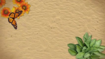 Make Your Own Website