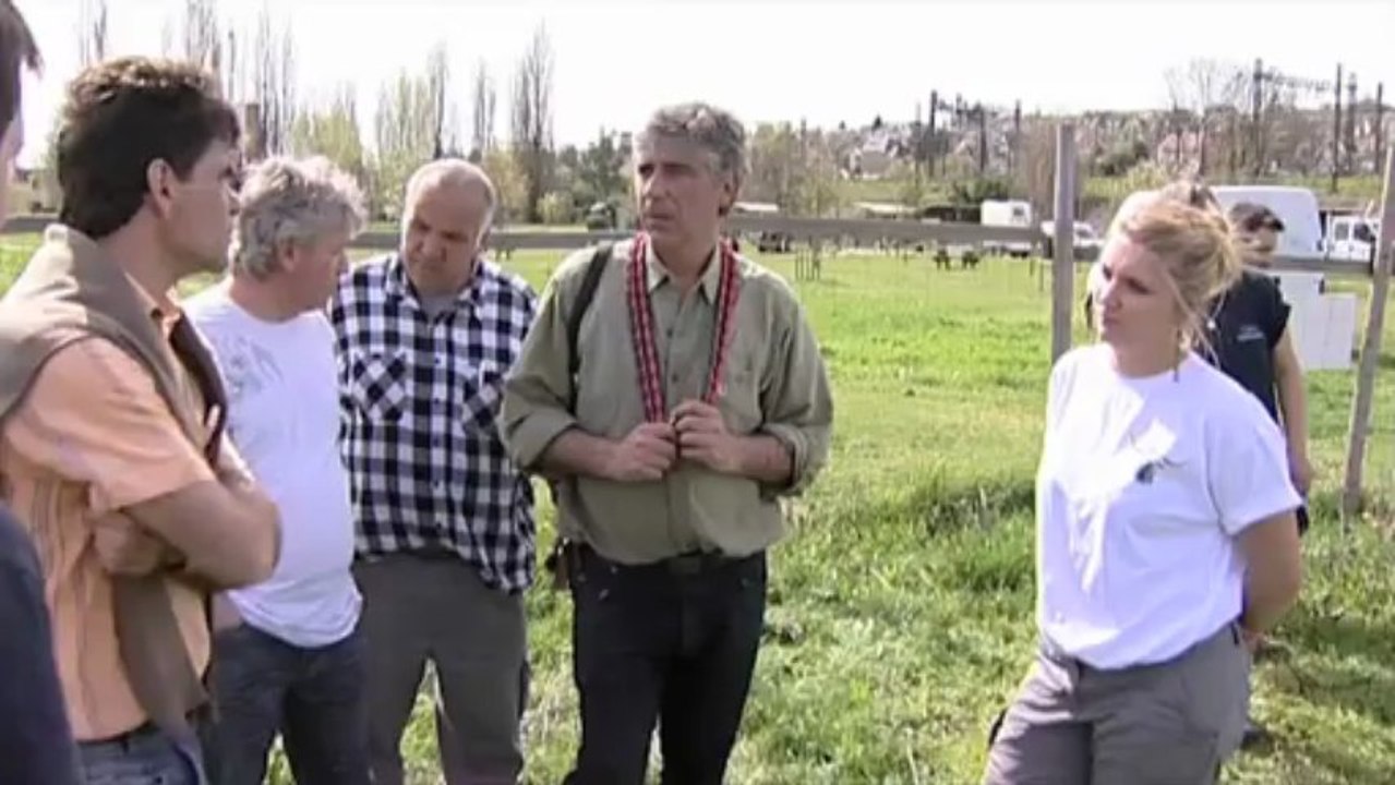 Le Pré aux boeufs à nouveau à l'heure de l'écopastoralisme