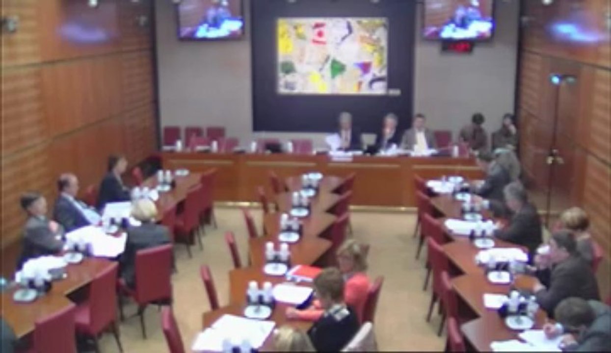 13.04.17intervention commission sur la résolution sur l'exception culturelle