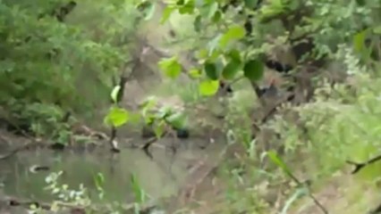 Οι πυροσβέστες ψάχνουν μέσα στο ποτάμι για το όπλο