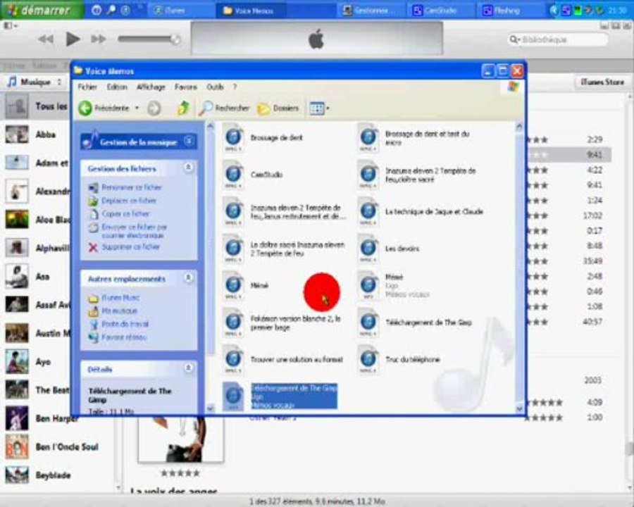Solution CamStudio