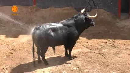 SORTEO 19 ABRIL SEVILLA