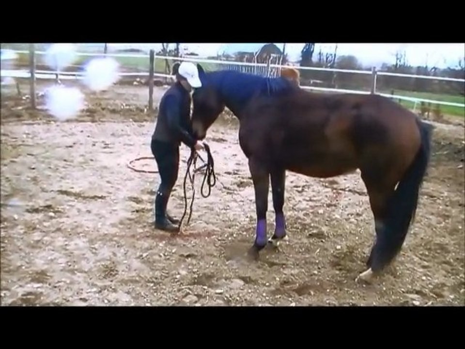 Stéphanie Equifeel 17/03/2013