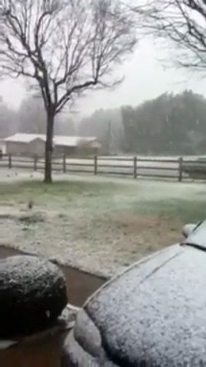 Snow (February 16, 2013)