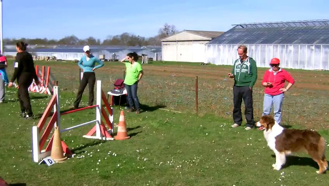 Déli, 1er degré Fontenay 2013