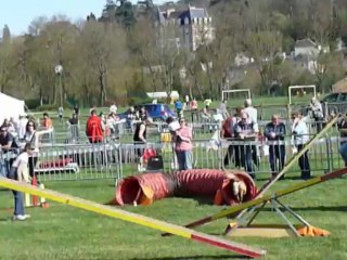 Concours agi Findzy Amboise - 14/03/2013