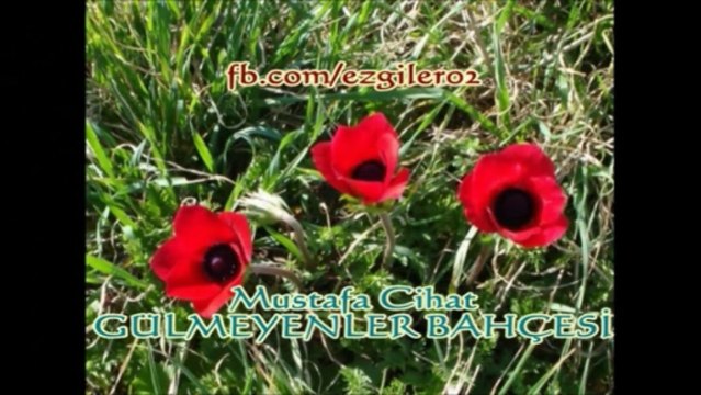 Mustafa Cihat - GÜLMEYENLER BAHÇESİ [ezgi-dinle.com]