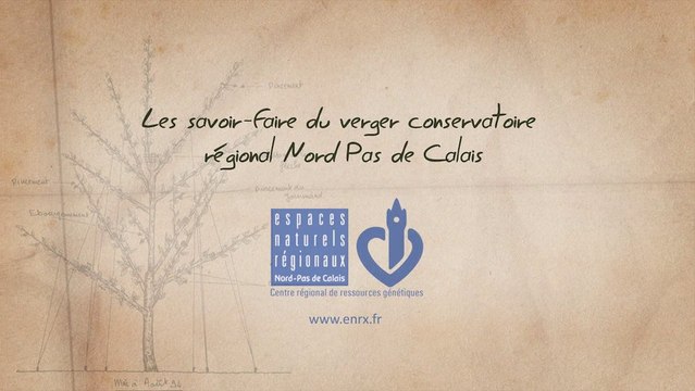 Comment choisir son arbre fruitier