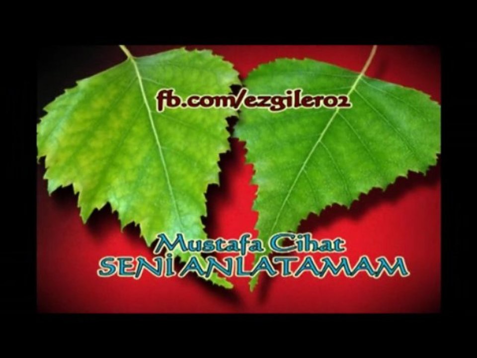 Mustafa Cihat - SENİ ANLATAMAM [ezgi-dinle.com]