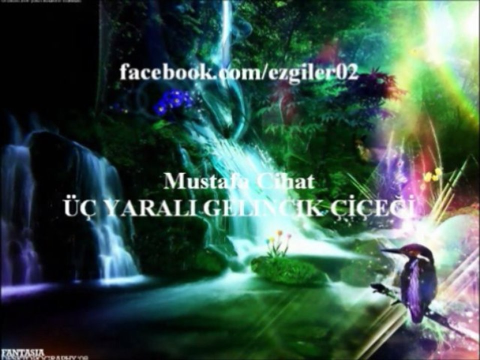 Mustafa Cihat - ÜÇ YARALI GELİNCİK ÇİÇEĞİ [ezgi-dinle.com]