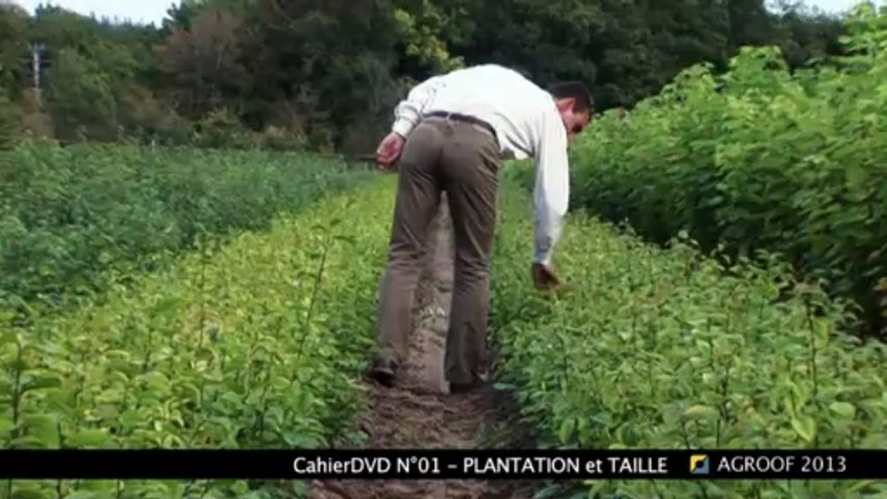 Extrait-cahierDVD01_PLANTATION