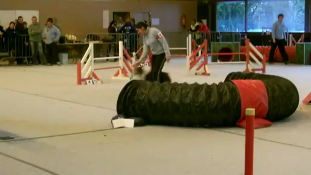 Déli, GPF Clayes 2013