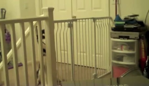 ♥♥ AC4.RO.TO ♥♥비비카지노 비비카지노 비비카지노 비비카지노