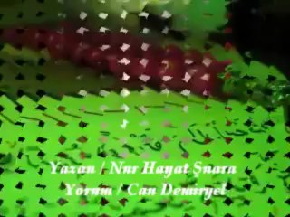 Vizyonsesli | vizyon sesli | vizyonsesli.com | vizyonsesli.net