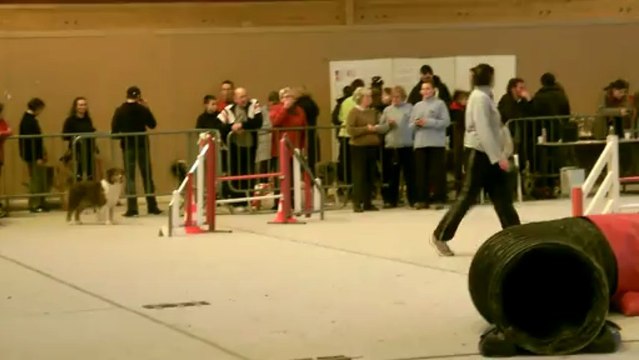 Déli, Jumping Clayes 2013