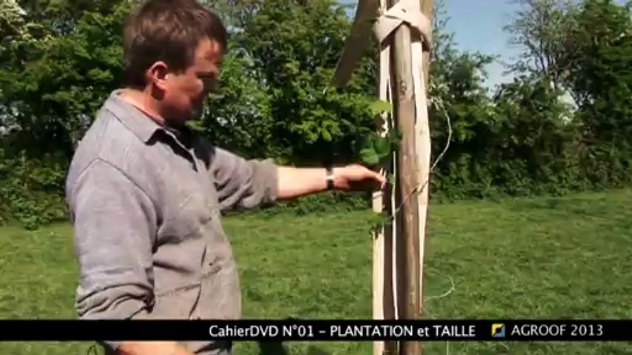 Extrait-cahierDVD01_PLANTATION_4