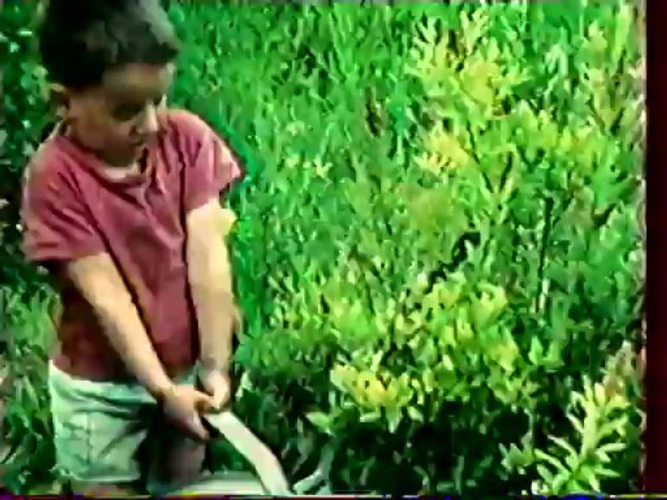 Jacques au jardin en 1964