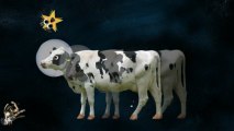 Las Vegas Mobsquad - Cow Series - I'm a Cow In Space