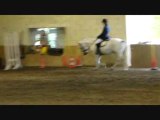 Club2 Dressage 2012 65%