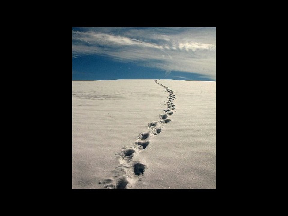en suivant ses traces