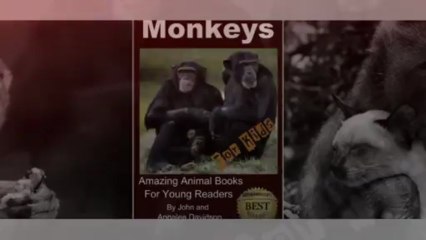 Monkeys - For Kids - Amazing Animal Books for Young Readers