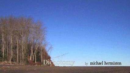 Dichotomy by michael hermiston